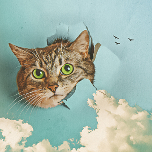 GAy欧美gv又粗又大
