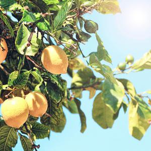 GAy欧美gv又粗又大
